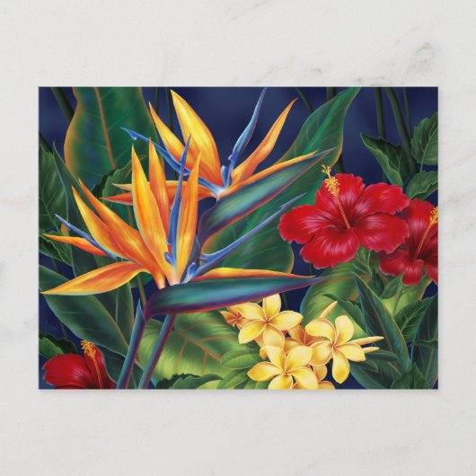トロピカルパラダイスハガキ ポストカード (正面)