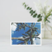 トロピカルパラダイスパームツリーズハガキ ポストカード (スタンド正面)
