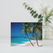 トロピカルパラダイスパームツリービーチポストカード ポストカード (スタンド正面)
