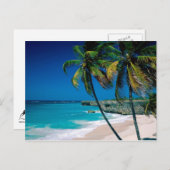 トロピカルパラダイスパームツリービーチポストカード ポストカード (正面/裏面)