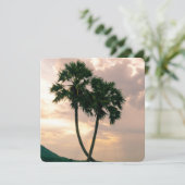 トロピカルパラダイスビーチパームデスティニーズデスティニー (スタンド正面)