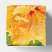 トロピカルパラダイスビーフボックス フェイバーボックス (上部)