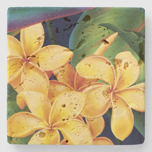 トロピカルパラダイスプルメリアストーンティキバーコースター ストーンコースター (正面)
