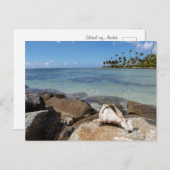 トロピカルパラダイス ポストカード (正面/裏面)