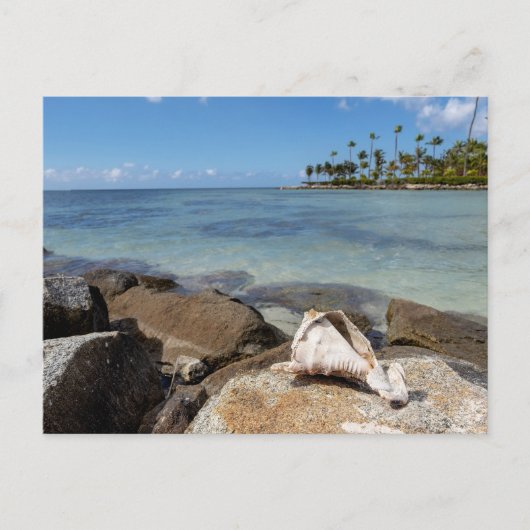 トロピカルパラダイス ポストカード (正面)