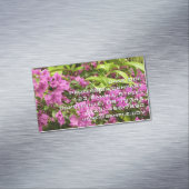 トロピカルパープルブーゲンビリアフローラ マグネット名刺 (インサイチュ)