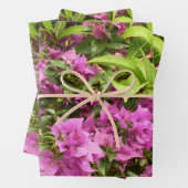 トロピカルパープルブーゲンビリアフローラ ラッピングペーパーシート (インサイチュ)
