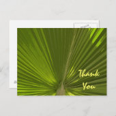 トロピカルパームサンキュー ポストカード (正面/裏面)