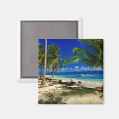 トロピカルパームズサンブラスパナサンサンサンサンサンサンサンサンサンディビーチアイランド マグネット (正面/裏面)