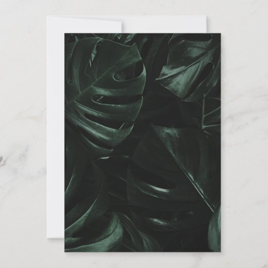 トロピカルパームズネオン |アーチ型卒業4枚の写真 案内状 (裏面)