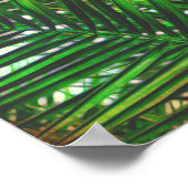 トロピカルパームフォトアートポスターの色合い緑 ポスター (角)