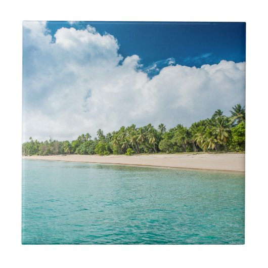 トロピカルパームフリンジドビーチ タイル (正面)