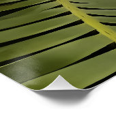 トロピカルパームボタニカルアートディオンスピヌロサム ポスター (コーナー)