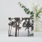 トロピカルビューインカウアイ ポストカード (スタンド正面)