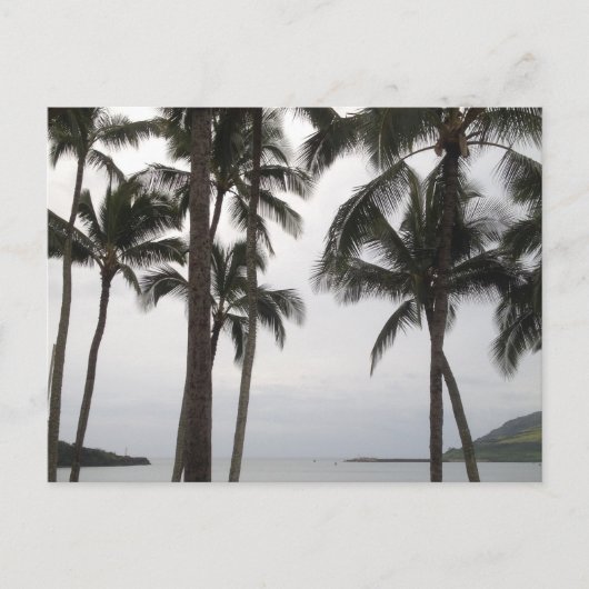 トロピカルビューインカウアイ ポストカード (正面)