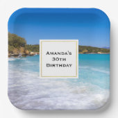 トロピカルビーチアイランドパラダイスフォト誕生日 ペーパープレート (正面)