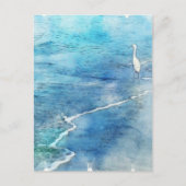 トロピカルビーチインティール（緑がかった色）アクアターコイズブルー ポストカード (正面)