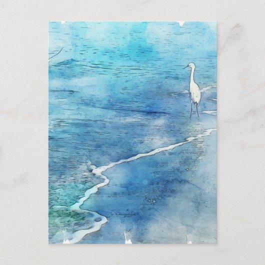 トロピカルビーチインティール（緑がかった色）アクアターコイズブルー ポストカード (正面)