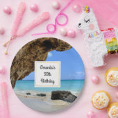 トロピカルビーチコーストとビッグロック誕生日 ペーパープレート (パーティー)