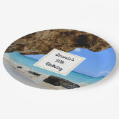 トロピカルビーチコーストとビッグロック誕生日 ペーパープレート (アングル)