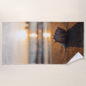 トロピカルビーチサンセットシェル ビーチタオル (正面)