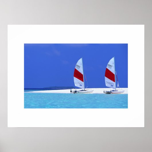 トロピカルビーチシーンポスター ポスター (正面)