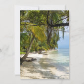 トロピカルビーチストリングライツリタイアメント招待状 招待状 (裏面)