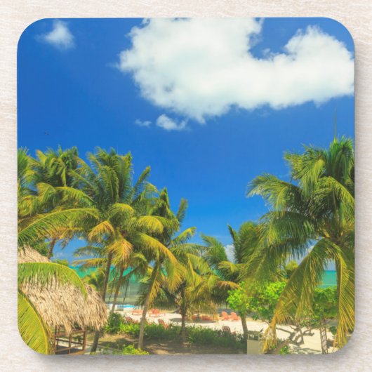 トロピカルビーチリゾートベリーズ コースター (正面)