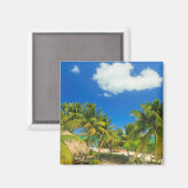 トロピカルビーチリゾートベリーズ マグネット (正面/裏面)