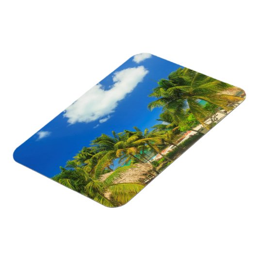 トロピカルビーチリゾートベリーズ マグネット (左側)