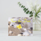 トロピカルビーチ日付の保存プルメリア 案内ポストカード (スタンド正面)