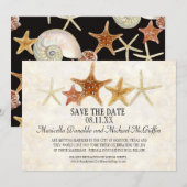 トロピカルビーチ シェル スターフィッシュ ナウティラス サマー 招待状 (正面/裏面)