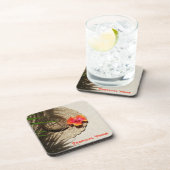 トロピカルビーブスコースタルビーチリゾートバケーション コースター (右側)