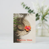 トロピカルビーブスサンハットとハイビスカス ポストカード (スタンド正面)