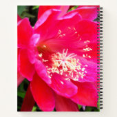 トロピカルピンクの花の写真 ノートブック (裏面)