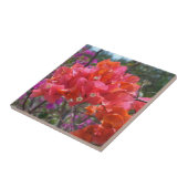 トロピカルピンクブーゲンビリア島フローラ タイル (側面)