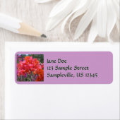 トロピカルピンクブーゲンビリア島フローラ ラベル (インサイチュ)