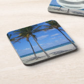 トロピカルフォートローダーデールビーチフロリダ コースター (左側)