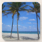 トロピカルフォートローダーデールビーチフロリダ コースター (正面)