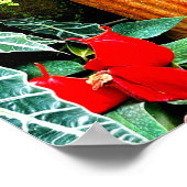 トロピカルフラワーズメキシコアシエンダガーデン ポスター (角)