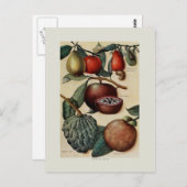 トロピカルフルーツ ポストカード (正面/裏面)