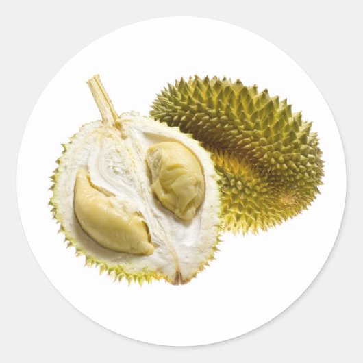 トロピカルフルーツ – Durian ラウンドシール (正面)