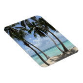 トロピカルフレキシブル磁石 マグネット (右側)