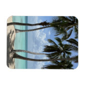 トロピカルフレキシブル磁石 マグネット (横)