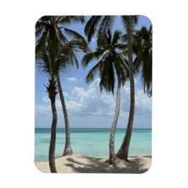 トロピカルフレキシブル磁石 マグネット