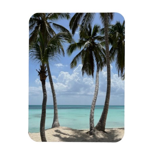 トロピカルフレキシブル磁石 マグネット (縦)