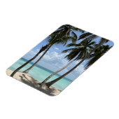 トロピカルフレキシブル磁石 マグネット (左側)