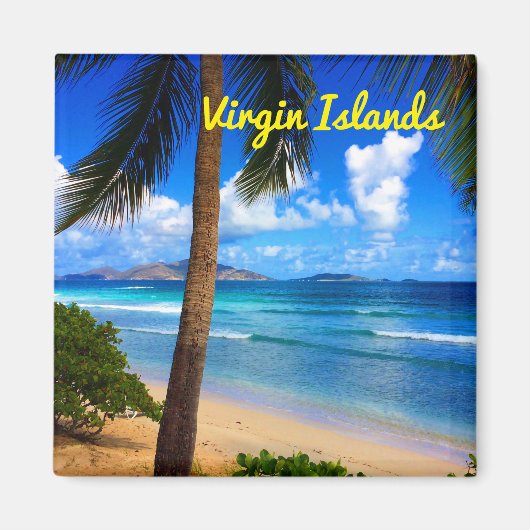 トロピカルブリテカリブのィッシュヴァージン諸島ビーチ マグネット (正面)