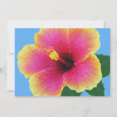 トロピカルブルーハイビスカスフラワー招待状 招待状 (裏面)