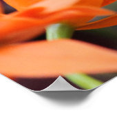 トロピカルブルーバタフライポスター ポスター (角)